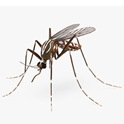 Засоби від комарів
